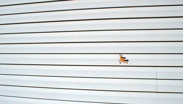 Best Weatherproofing and Sealing  in Sicklerville, NJ