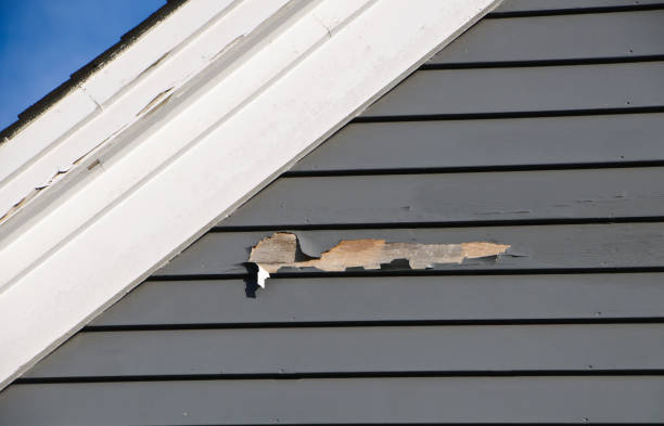 Best Fiber Cement Siding Installation  in Sicklerville, NJ